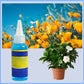 Professional nutrient solution for flowering potted plants