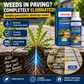 📢Limited-time offer: 60% OFF!🏆Multi-Surface Stone Cleaner – Effectively eliminates moss, black spots, and hard water stains, plus effortlessly handles weeds growing in cracks and joints