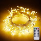 Outdoor Waterproof Battery-Operated LED Fairy Lights
