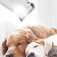 Pet Efficient Safety Shaver with LED Light