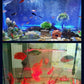 🔥Hot Sale 50% OFF💥LED Aquarium Colorful Air Bubble Light