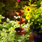 🌸Spring Special Limited 50%Off💐3-Tier Rustic Metal Bird Feeder & Drinker Stake
