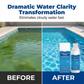 💧 Swimming Pool Purifying Liquid – Crystal Clear Water, Zero Hassle! 🔥 Say goodbye to green water & harsh chemicals – just pure, fresh swimming every time. 🏊‍♂️💙