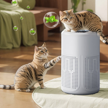 💐Silent Air Purifier – Peaceful sleep, no noise 🔇😴【Limited Offer】50%OFF!🔥