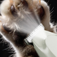 🐾Precision Pet Hair Trimmer for Paws, Eyes, and Ears