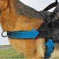✨Heavy-Duty Tactical Dog Harness with Handle🐕