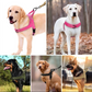 ✨Heavy-Duty Tactical Dog Harness with Handle🐕