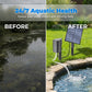 ⚡ 66% OFF NOW! ✨Solar Pond Aerator with Air Pump