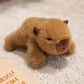 🧸 65% OFF NOW! 🧲 Lovely Plushie Fridge Magnet Doll – Premium Mink Velvet, Hidden Magnet, Perfect for Fridge, Laptop & Bags ✨