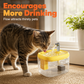 Silent Pet Drinking Dispenser with Food-Grade PET Bowl 🐾 Fresh, Flowing & Perfect for Picky Drinkers ✨