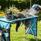 ⏳Limited-time 52% off🛋️2-in-1 Foldable Pet Grooming Bed🐱🐶