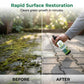 🔥 Outdoor Moss Remover Spray – Fast-Acting Formula for Patios, Walkways & Garden Stones – Ideal for Paving, Brick Walls & Concrete