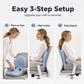 🪑 54% OFF! Ergonomic Memory Foam Seat Cushion – Back Support for Home, Office & Car 💺