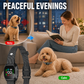 🛡️🐾 52% OFF! Anti Bark Collar – Smart anti‑false triggering filters out other barks. IP67 waterproof & USB rechargeable – worry‑free training anywhere! 💦✅
