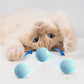 Interactive Cat Ball Toy with LED