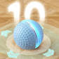 Interactive Cat Ball Toy with LED