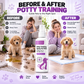 🥳HOT SALE🥳💞10K+ SOLD! Potty Training Spray – Guides pets, safe & easy spray. Cleaner home – grab yours! ✅