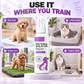 🥳HOT SALE🥳💞10K+ SOLD! Potty Training Spray – Guides pets, safe & easy spray. Cleaner home – grab yours! ✅