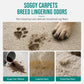 ⏰LIMITED-TIME 50% OFF! 💥Waterless Fabric Foam Cleaner - Clean Rugs & Sofas Instantly!